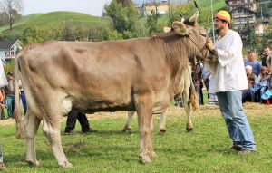 141011Nidwalden 125